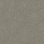Shingle