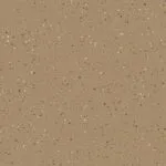 Billabong