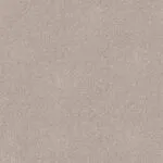 Calico