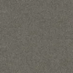 Grey Owl