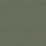 Forest Floor