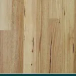Australian Chestnut