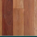 Blue Gum