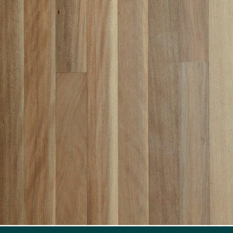 Traditional Solid Flooring timber flooring in Brushbox, swatch