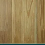 Coastal Blackbutt