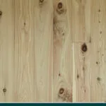 Cypress Pine