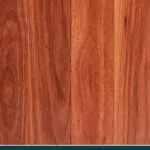 Forest Red Gum