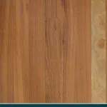 Grey Gum