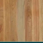 Grey Ironbark