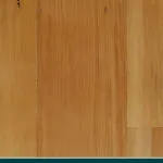 Kauri Pine