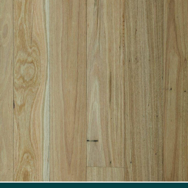 Traditional Solid Flooring in New England Blackbutt, swatch