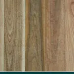 NSW Spotted Gum