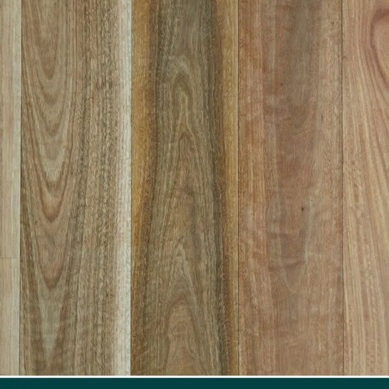 Royal Floors NSW Spotted Gum solid timber flooring, board sample