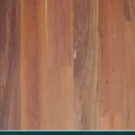 Red Ironbark