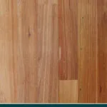 Rose Gum (Flooded Gum)