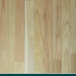 Silvertop Stringybark